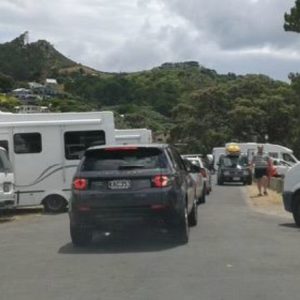 Hahei Beach Traffic Parking