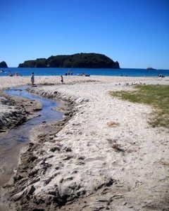 Hahei Beach Coromandel Tutaritari Stream