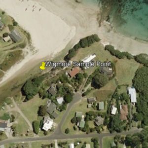 Hahei Beach Wigmore Stream Sample Point
