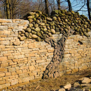 Hahei Beach Coromandel Memorial Garden Dry Stone Tree Wall